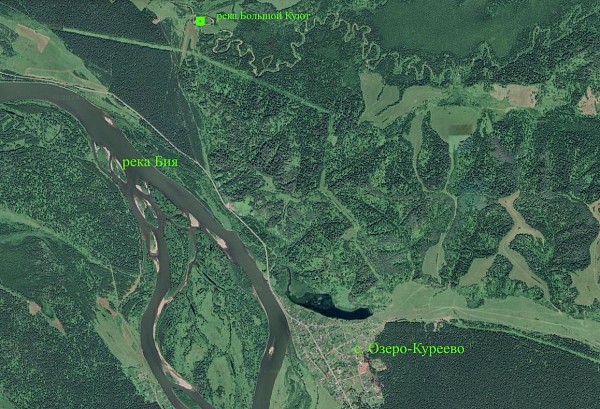 Земельный участок 80 соток на берегу реки Большой Куют, с. Озеро-Куреево (№608)