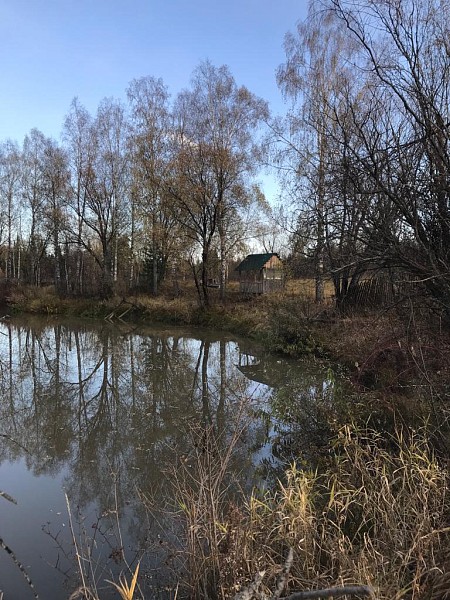 Земельный участок 80 соток на берегу реки Большой Куют, с. Озеро-Куреево