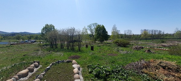 Земельный участок 26 соток, с. Озеро-Куреево (№558)