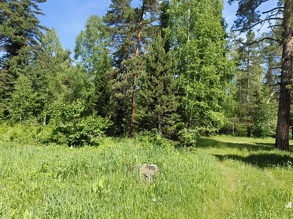 Усадьба на берегу Лебеди 61 сотка с. Усть-Лебедь (№760)
