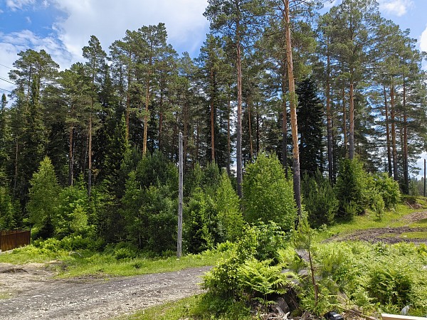 Дом на земельном участке 11 соток, с. Турочак