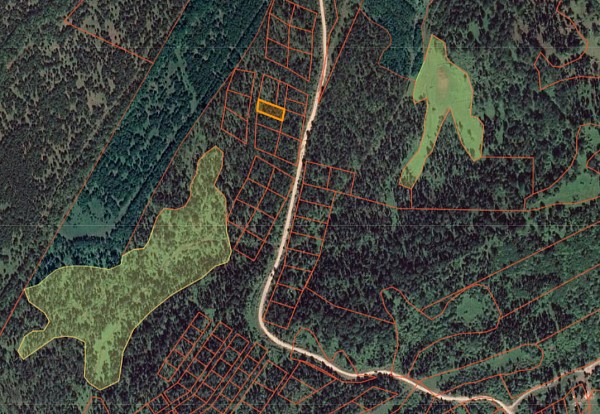 Земельный участок на Телецком озере, 13 соток с. Артыбаш (№698)