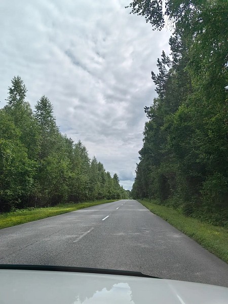 Земельный участок на берегу реки Бия 30 соток с. Удаловка (№761)