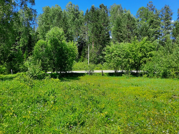 Земельный участок на Телецком озере, 80 сот, с. Артыбаш (№400)