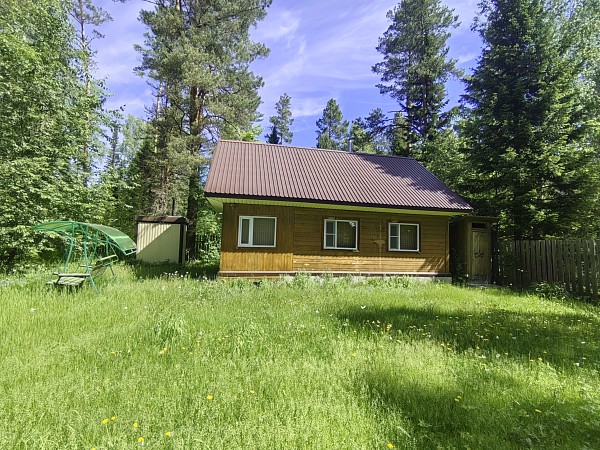 Усадьба на берегу Лебеди 61 сотка с. Усть-Лебедь (№760)