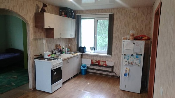 Дом на земельном участке 14 соток с. Бийка (№734)