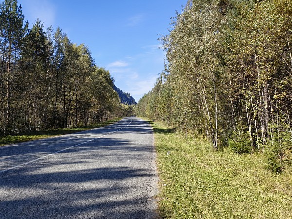 Земельный участок на Телецком озере, 20 соток с. Артыбаш (№650)