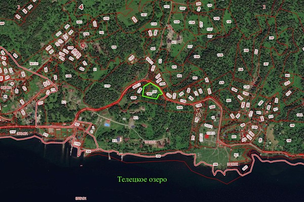 Земельный участок на Телецком озере, 80 сот, с. Артыбаш (№400)