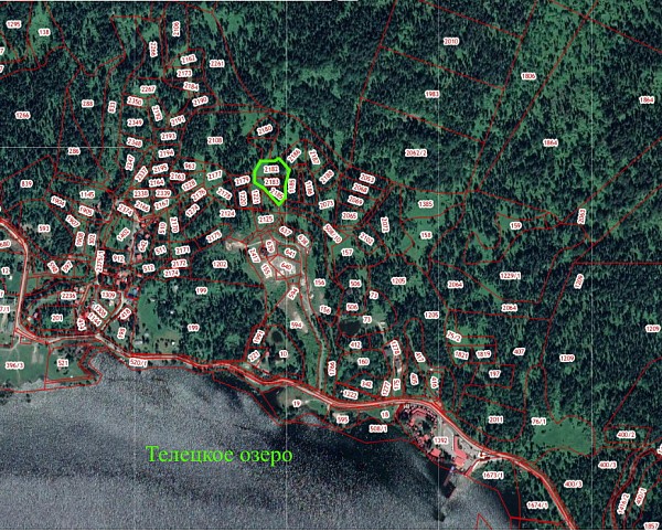 Земельный участок на Телецком озере, 64 сотки с. Артыбаш (№645)