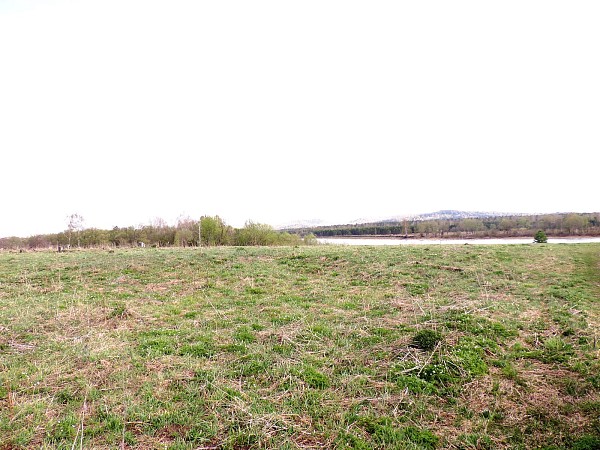 Земельный участок на берегу реки Бия 100 соток с. Шунарак (№536)