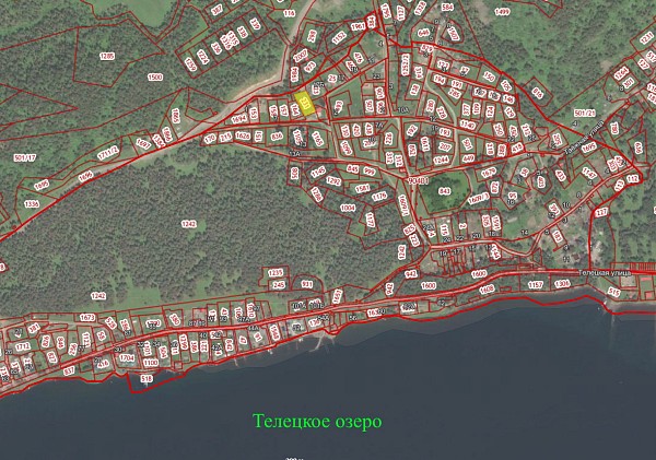 Дом на Телецком озере, 18 сот, в с. Артыбаш (№460) Дом на Телецком озере, 18 сот, в с. Артыбаш (№460)